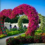 Dubai Miracle Garden 