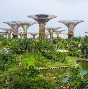 Singapore Botanic Gardens