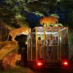 Feel the Thrill at Singapore Night Safari