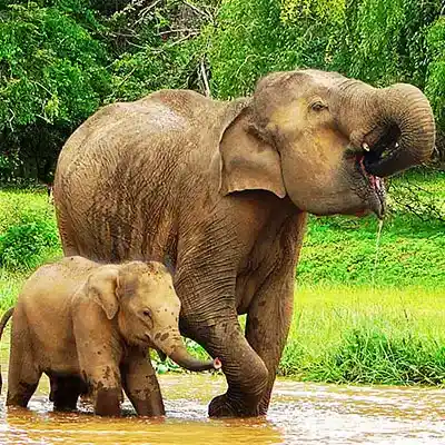 Beautiful-Sri-Lanka