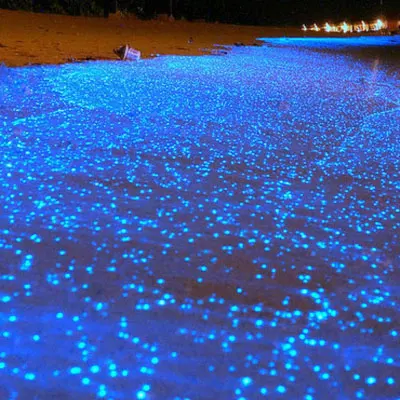 Magical Maldives