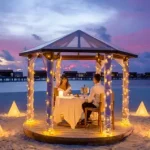 tour from india to maldives