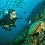 tour from india to maldives