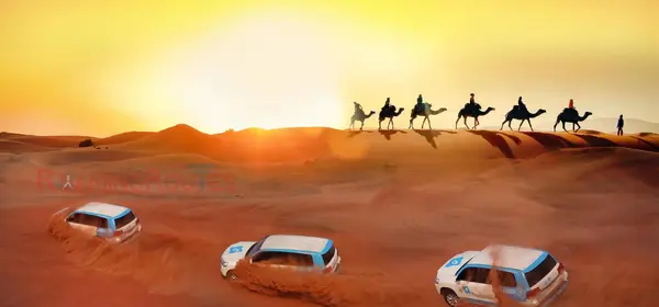 Desert Safari in Dubai travel guide