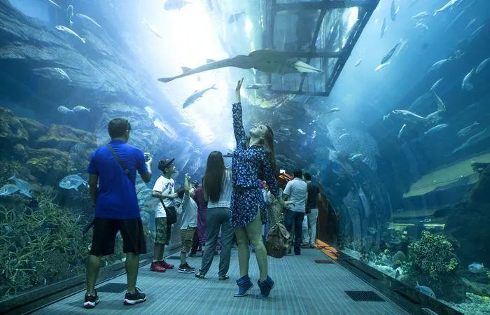 People in Dubai Aquarium & Underwater Zoo