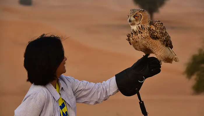 Dubai Desert Conservation Reserve