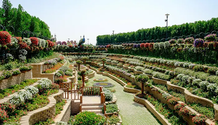 Dubai Miracle Garden