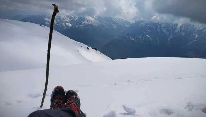 Gulaba during snowfall