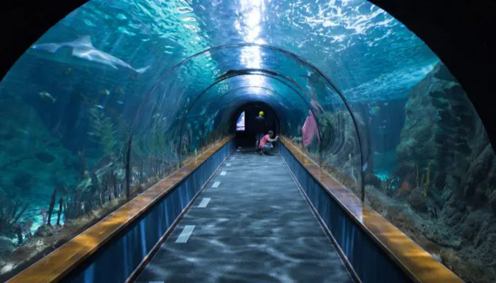 Dubai Aquarium Tunnel