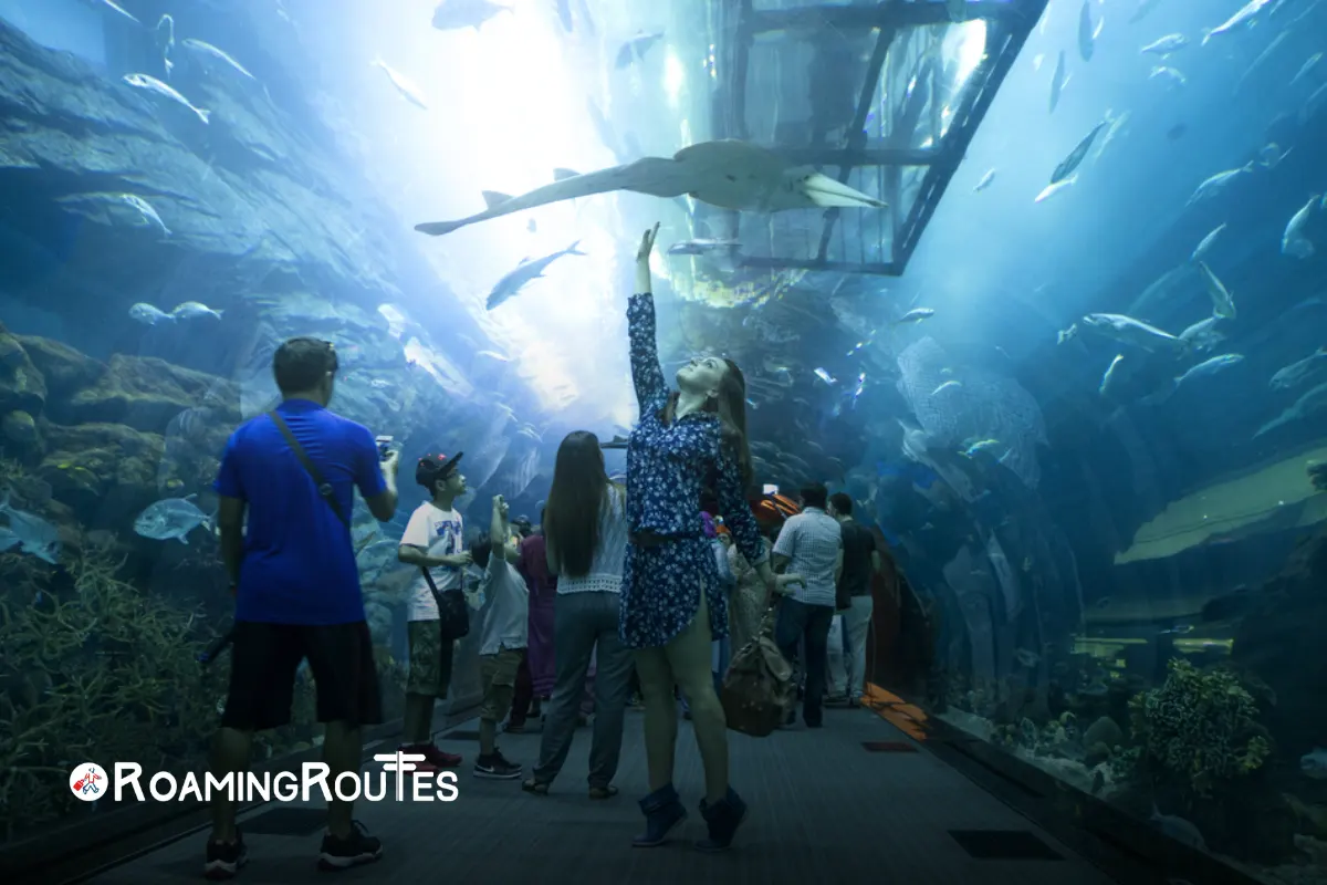 Dubai Aquarium & Underwater Zoo