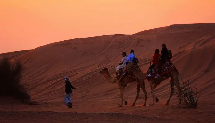 Evening Desert Safari