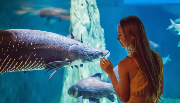 Girl Watching Dubai aquarium