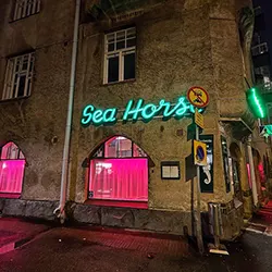 Finland Tour Packages - Sea Horse finland