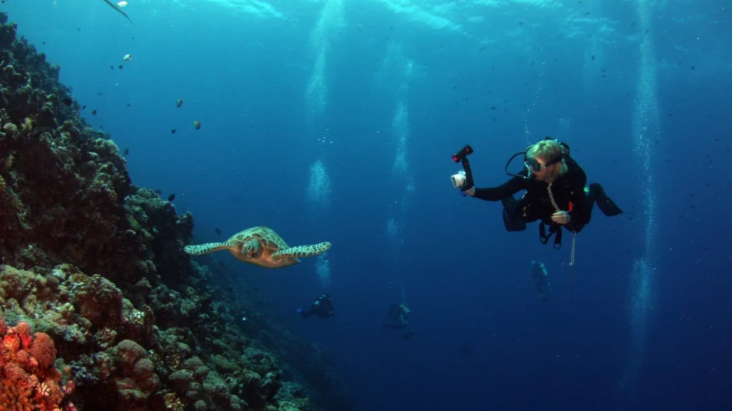 Snorkeling with Reef Life