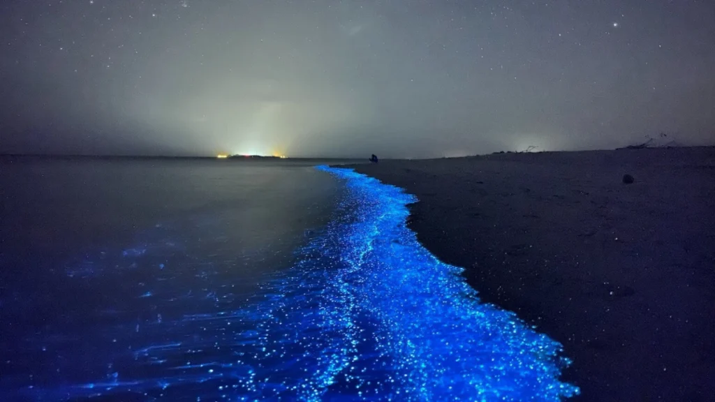 Vaadhoo Island - places to visit in maldives
