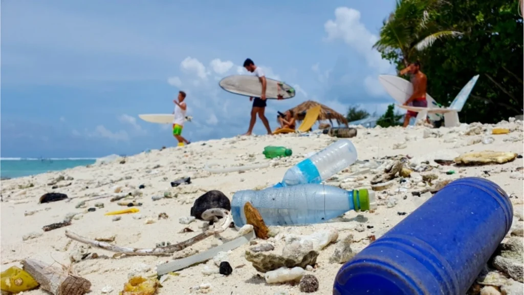 Don’t Litter or Harm the Reef