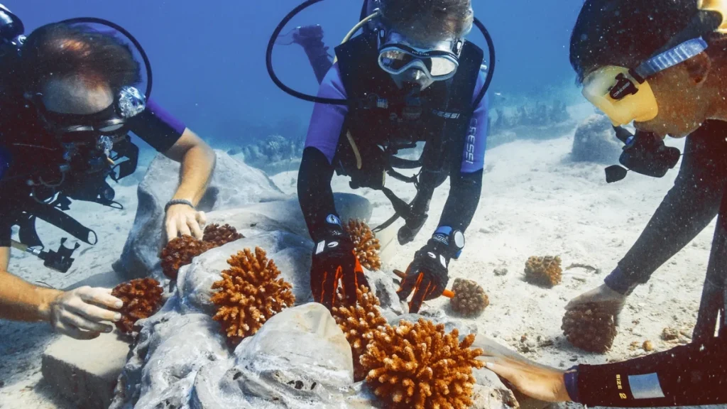 Scuba Diving Experience