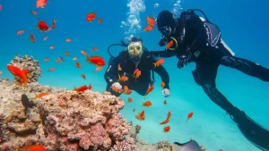 Scuba Diving in Maldives