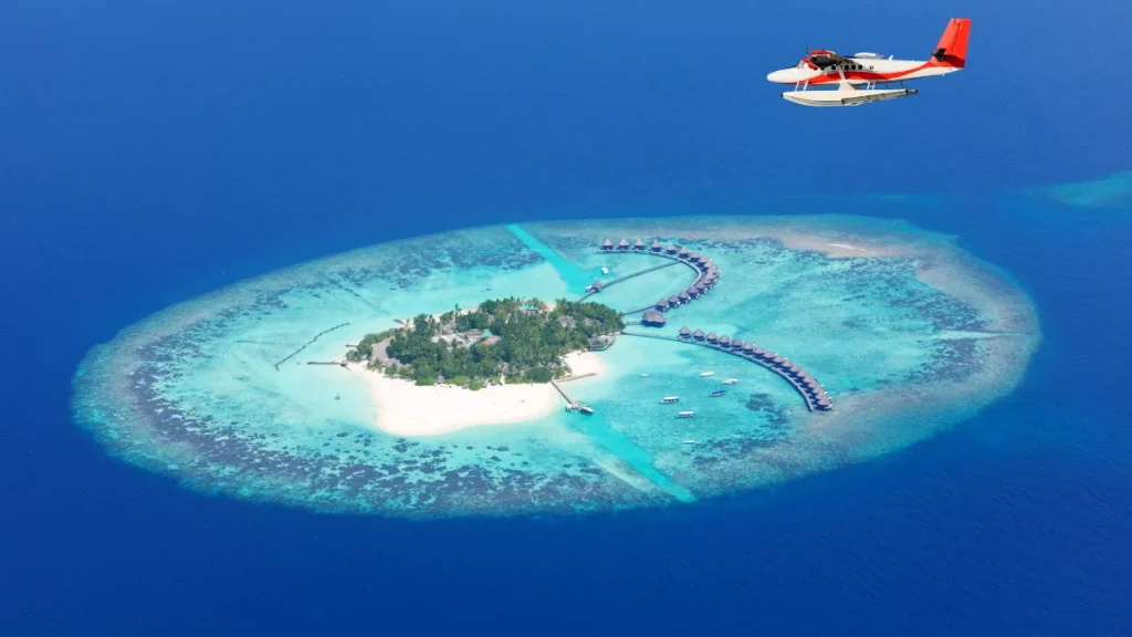 Coral Islands Formed Entirely by Living Reefs