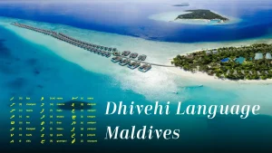 Dhivehi Language Maldives