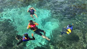 Snorkeling in Maldives