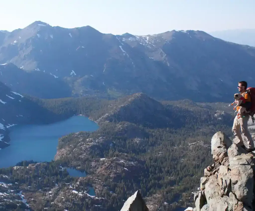 adventure-in-the-sierra-nevadas-with-mack-the-adventure-pug